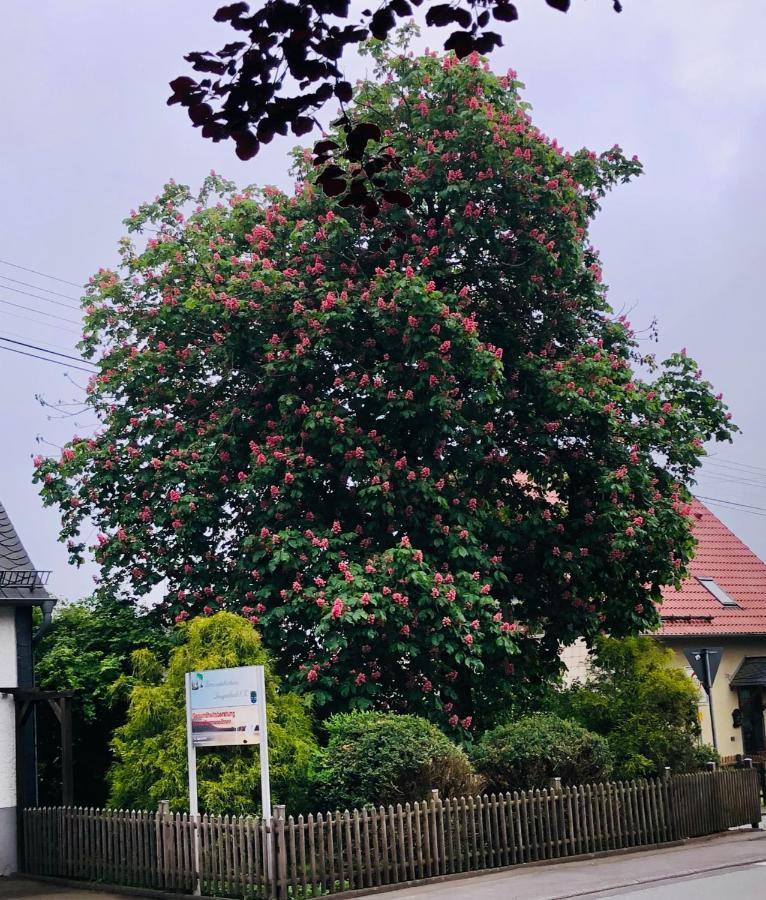 Apartmán Gemuetliche Fewo Naehe Hachenburg, Bad Marienberg Langenbach bei Kirburg Exteriér fotografie